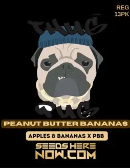 Peanut Butter Bananas regular cannabis seeds by Thug Pug Genetics featuring Apples & Bananas and Peanut Butter Breath lineage