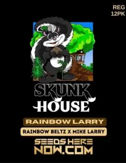 Rainbow Larry cannabis seeds from California Seedbank Genetics featuring Rainbow Belts x Mike Larry genetics