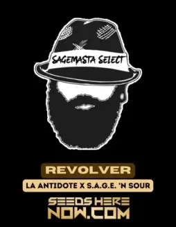 Revolver Cannabis Seeds (space) Sativa(space)leaning Genetics by S.A.G.E.masta Select