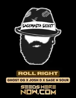 Image of Roll Right regular cannabis seeds pack by S.A.G.E.masta Select