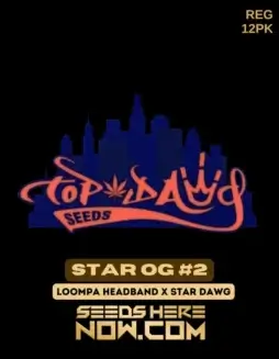 Star OG #2 cannabis seeds by Top Dawg Seeds featuring Loompa Headband x Star Dawg genetics, 60/40 Indica(space)dominant hybrid.