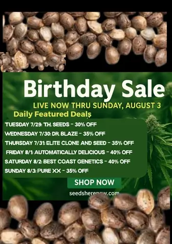 Autoflower Seeds Promotion