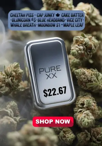 Autoflower Seeds Promotion