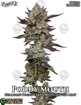 Poddy Mouth (Feminized) (space) Humboldt Seed Company