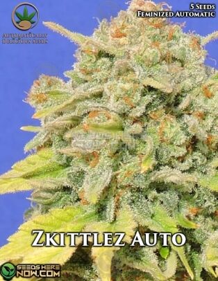 Zkittlez Auto (Autoflower) (space) Automatically Delicious