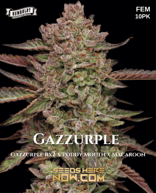Gazzurple (Feminized) (space) Humboldt Seed Company
