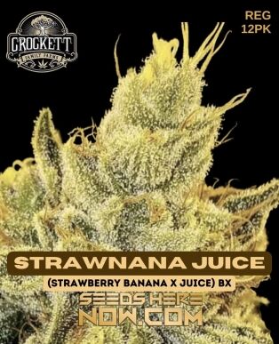 Strawnana Juice (Regular) (space) Crockett Family Farms