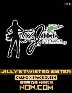 Jilly's Twisted Sister (Regular) (space) Mz Jill Genetics