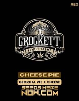 Cheese Pie (Regular) (space) Crockett Family Farms
