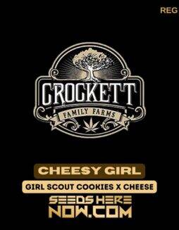 Cheesy Girl (Regular) (space) Crockett Family Farms