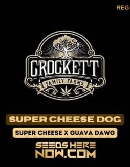 Super Cheese Dog (Regular) (space) Crockett Family Farms