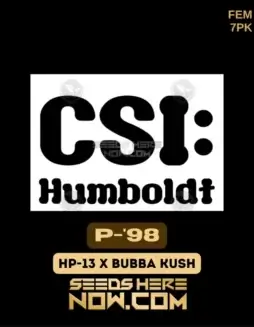 P(space)98 Feminized Seeds (space) Indica(space)dominant strain with pine and citrus aroma