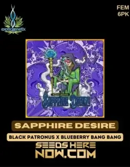 Feminized Sapphire Desire cannabis seeds by Exotic Genetix featuring Blueberry and Grape aroma