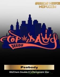 Peabody (Regular Seeds) – Top Dawg Seeds