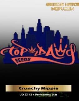 Crunchy Hippie (Regular Seeds) – Top Dawg Seeds