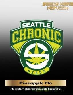 Pineapple Flo(space)Fighter (Regular) (space) Seattle Chronic Seeds