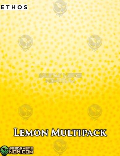 Lemon Multipack (Regular) (space) Ethos Genetics