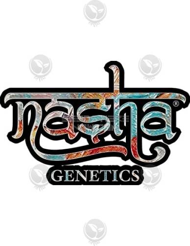 Cookies OG (Feminized) (space) Nasha Genetics