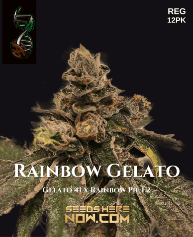 Rainbow Gelato (Regular) (space) Green Fire Genetics