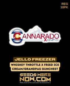 Jello Freezer (Regular) (space) Cannarado Genetics