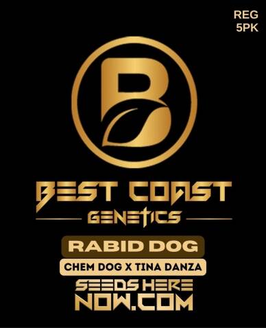 Rabid Dog (Regular) (space) Best Coast Genetics