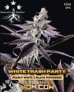 White Trash Party (Feminized) (space) Genetix Matter