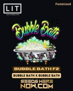 Bubble Bath F2 (Feminized) (space) LIT Farms