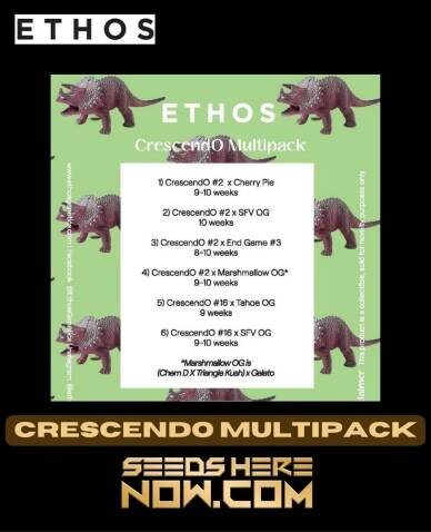 Crescendo Multipack (Feminized) - Ethos Genetics