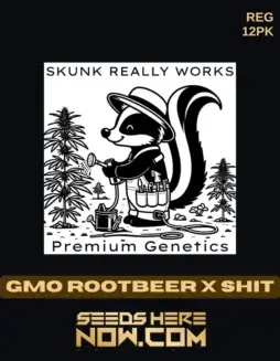 GMO Rootbeer x Shit Cannabis Seeds by Skunk Really Works