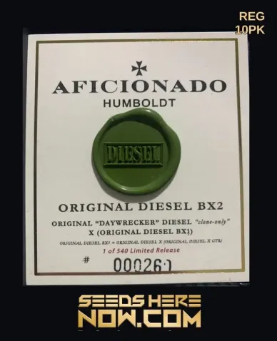 Original Diesel BX2 cannabis seeds by Aficionado Seeds, showing THC levels and flowering time details