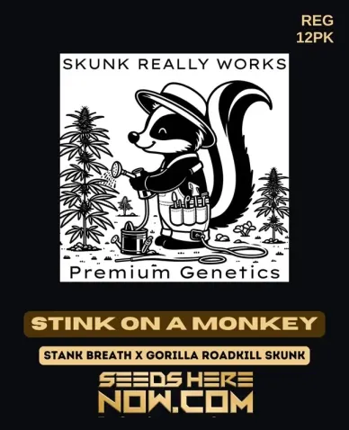 Stink on a Monkey Cannabis Seeds by Skunk Really Works