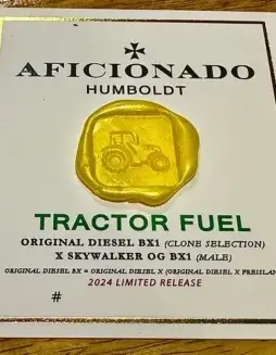 Tractor Fuel Regular Seeds by Aficionado Seeds featuring Indica Dominant, Diesel and Citrus Aromas