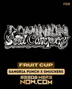 Fruit Cup (Feminized) (space) Dominion Seed Company