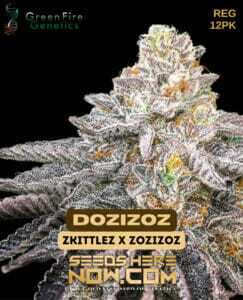 Dozizoz (Regular) (space) Green Fire Genetics