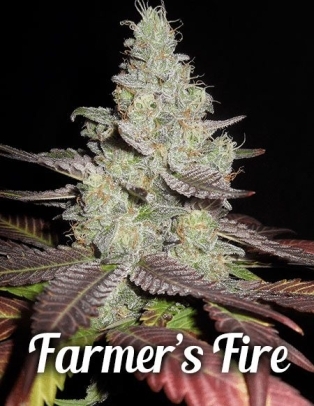 farmers(space)fire