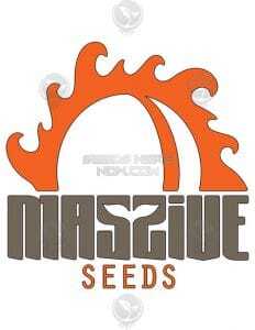 Autoflowering(blank)feminized(blank)seeds