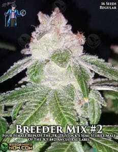 Breeders' Choice Mix #2 (Regular) (space) DJ Short Seeds