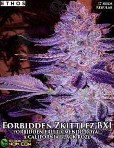 Forbidden Zkittlez BX1 (Regular) (space) Ethos Genetics