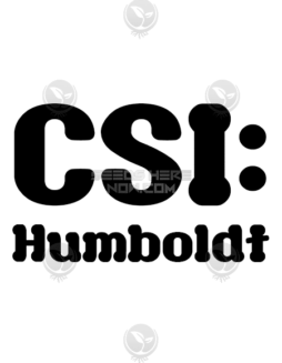 Trainwreck S1 (Feminized) (space) CSI Humboldthumboldt seed company
