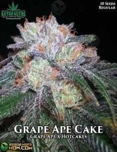 Grape Ape Cake (Regular) (space) Katsu Seeds
