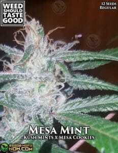 Mesa Mint (Regular) (space) Weed Should Taste Good
