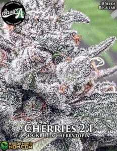 Cherries 2.1 (Regular) (space) Strait A Genetics