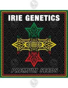 Irie Genetics