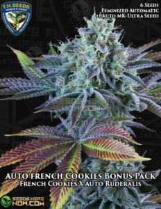 Auto French Cookies Bonus Pack (Autoflower) (space) T.H. Seeds