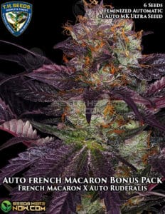 Auto French Macaron Bonus Pack (Autoflower) (space) T.H. Seeds