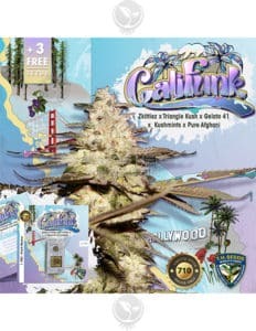 Califunk 710 Bonus Pack (Feminized) (space) T.H. Seeds