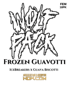 Frozen Guavotti (Feminized) (space) Wolfpack Selections