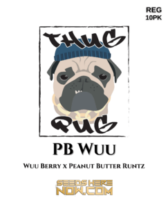 PB Wuu (Regular) (space) Thug Pug Genetics