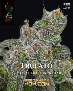 Trulato (Regular) (space) Green Fire Genetics
