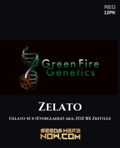 Zelato (Regular) (space) Green Fire Genetics